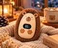 Portable Rechargeable Hand Warmer